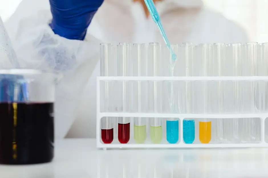 Testing Web Forms Safely in Your Own Lab with KaliLinux.net